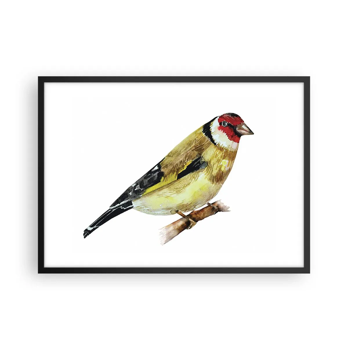 arttor2-221255