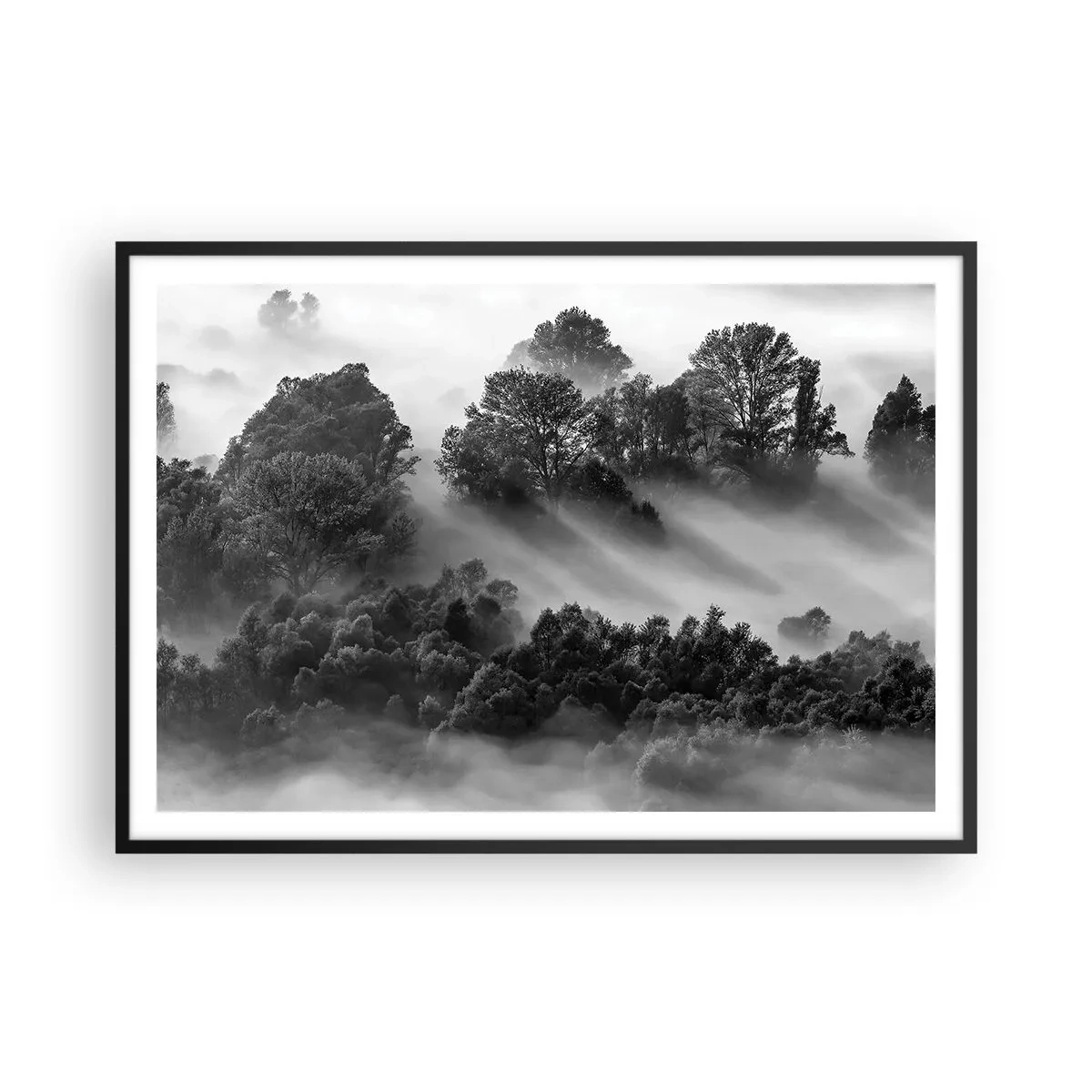 arttor2-236498