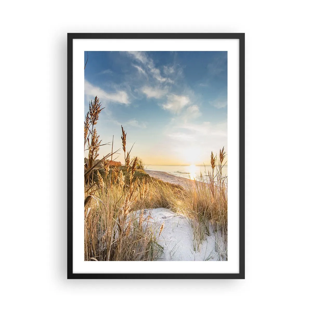 arttor2-239507