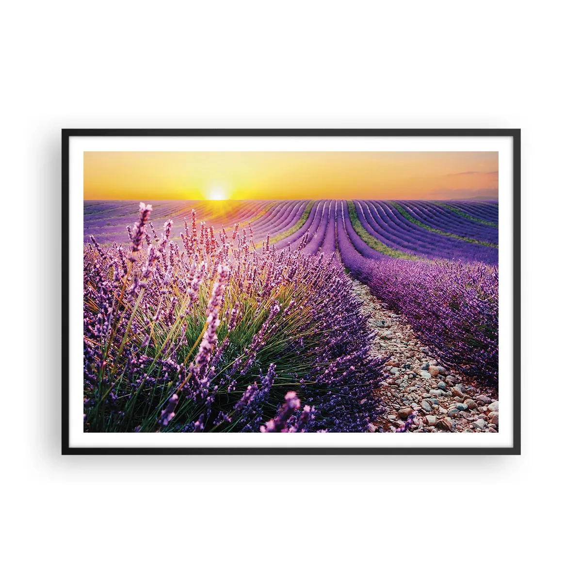 arttor2-239768