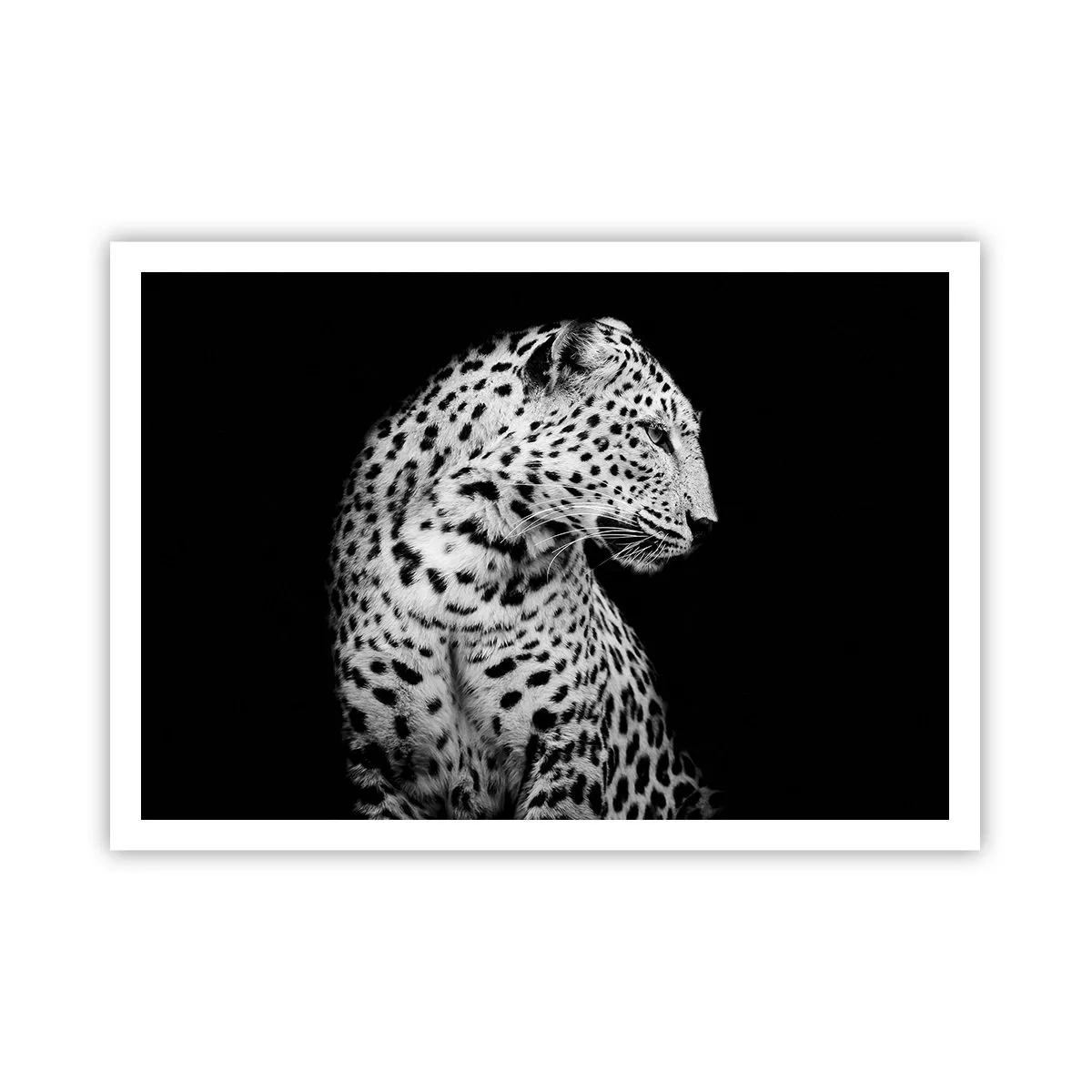 arttor2-240840