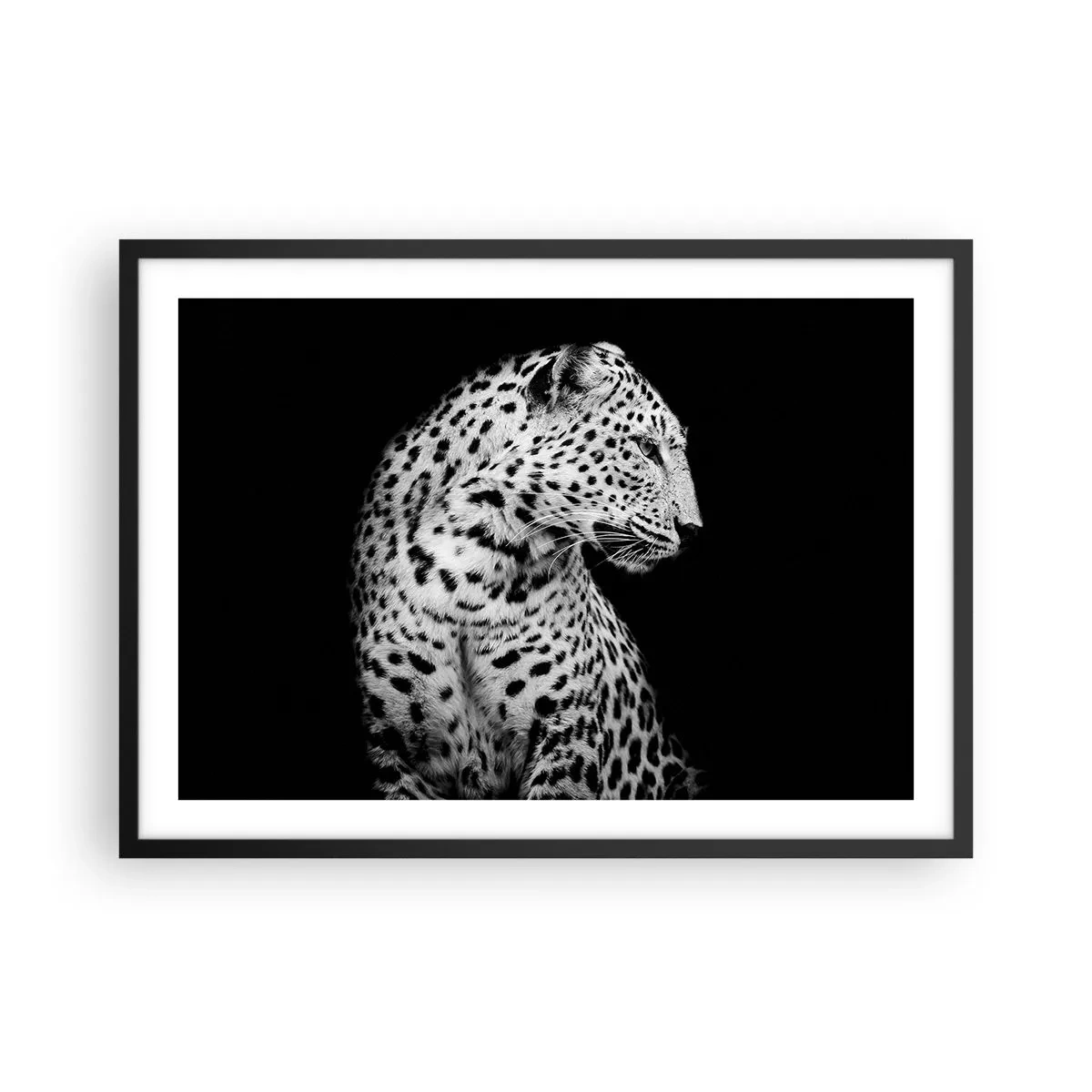 arttor2-240842