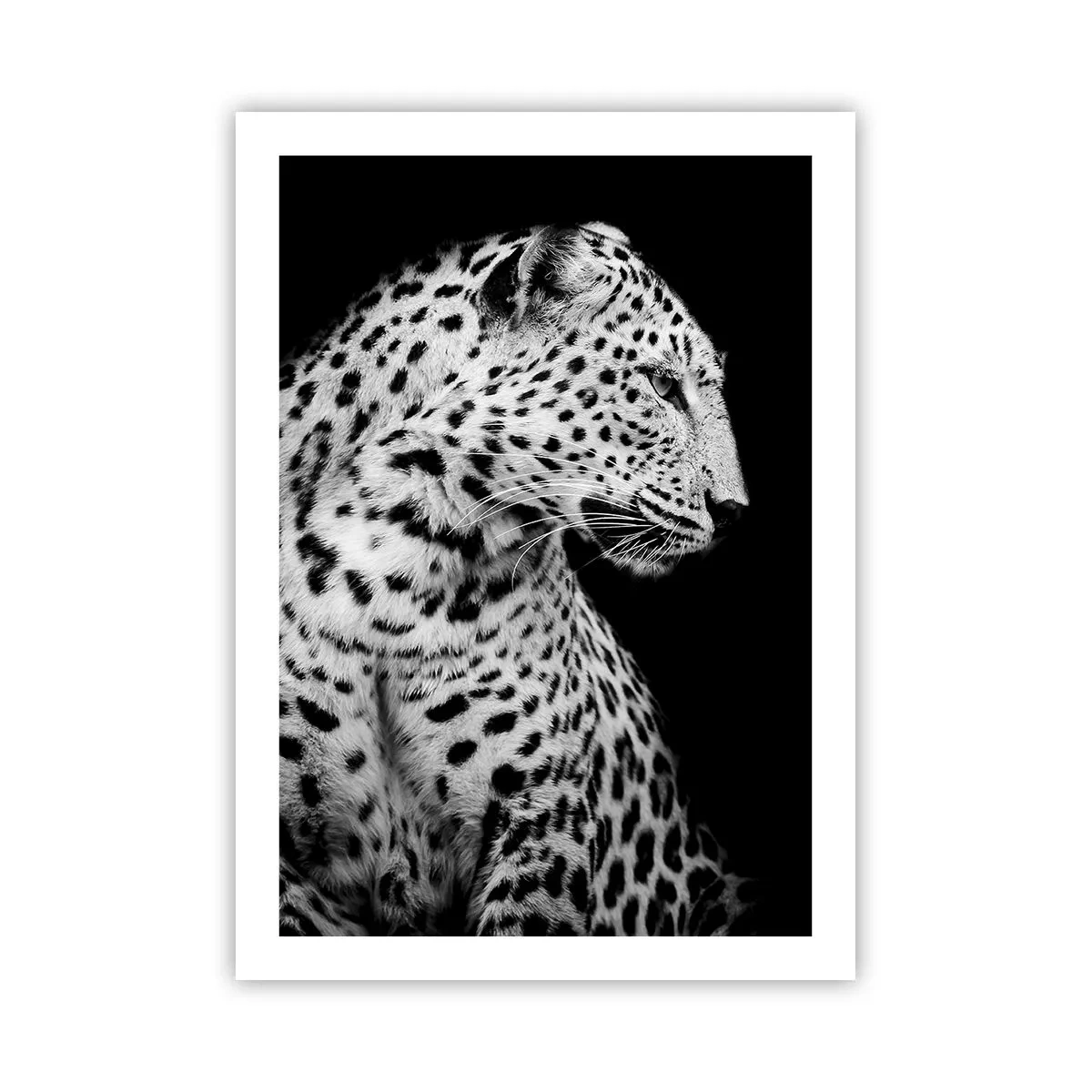 arttor2-240845