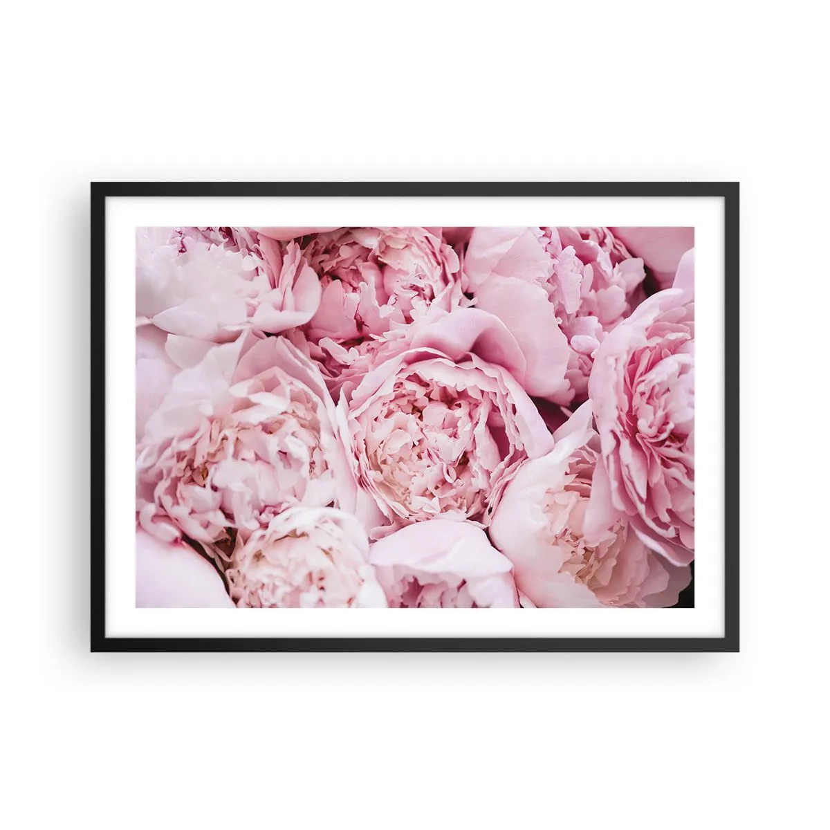 arttor2-241246