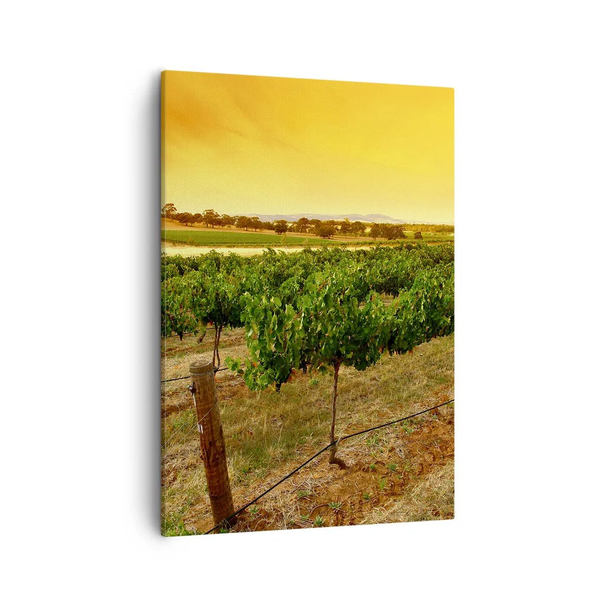 arttor2-323430
