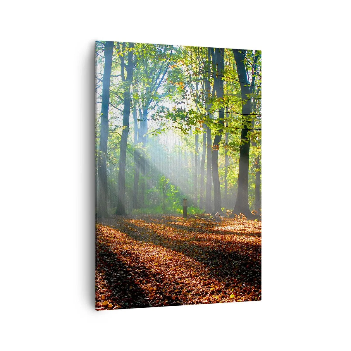 arttor2-323519