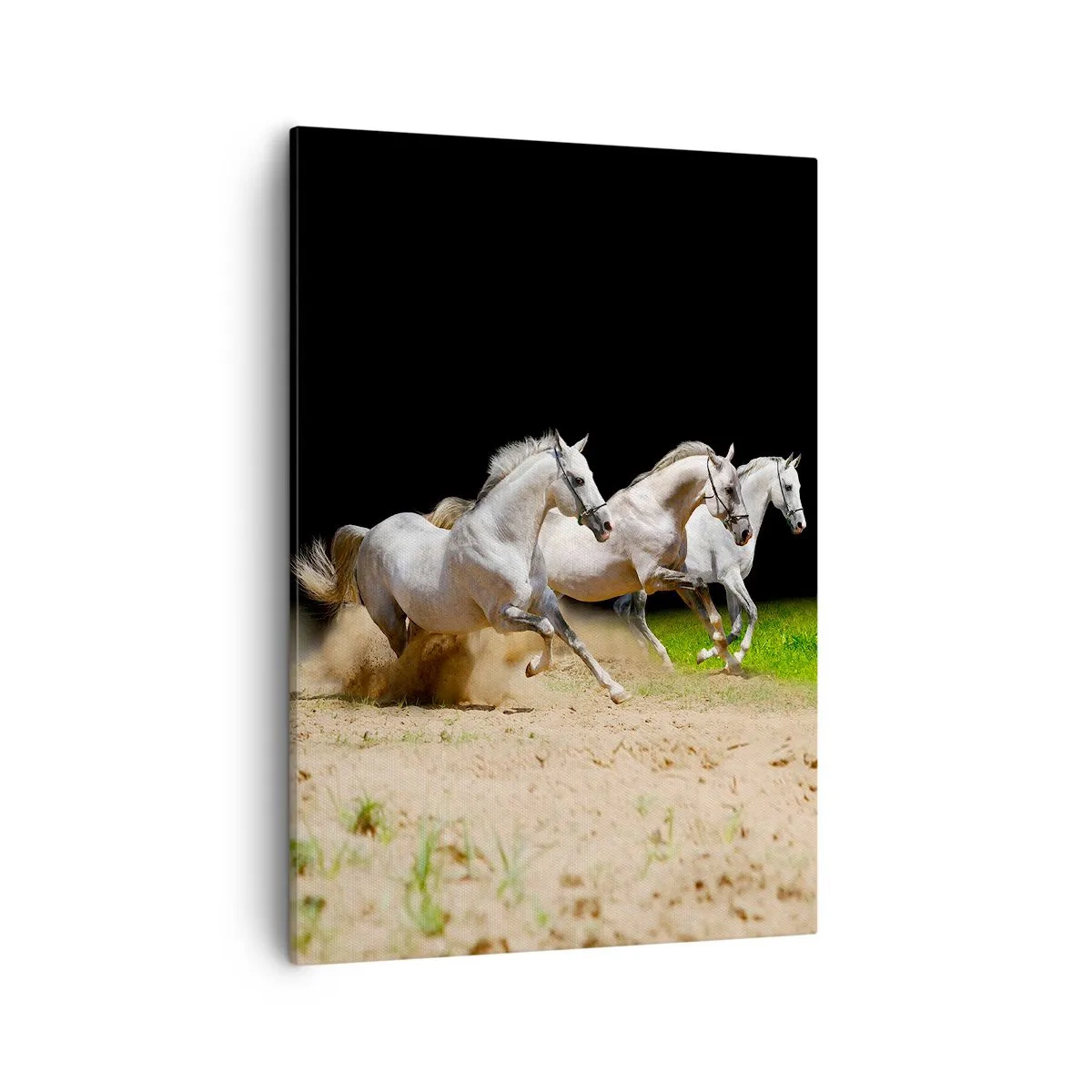 arttor2-323799