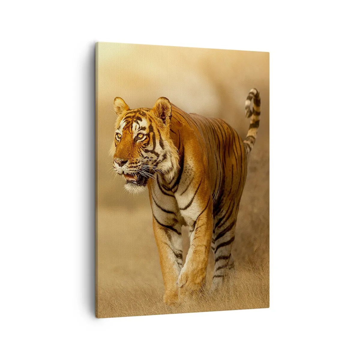arttor2-7654