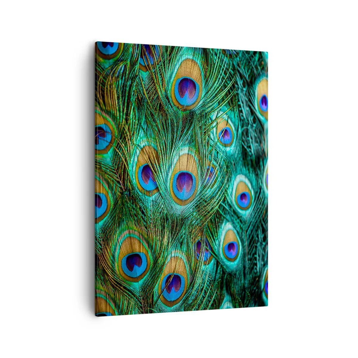 arttor2-81662