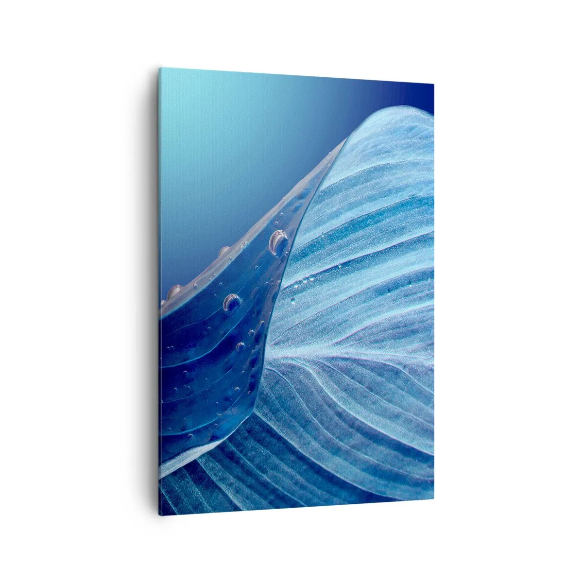 arttor2-89195