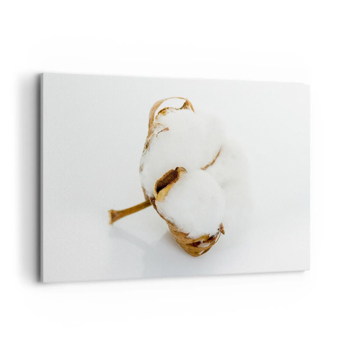 arttor2-89831