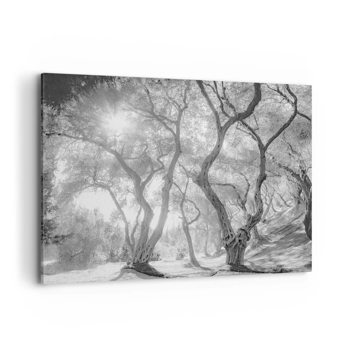 arttor2-91520