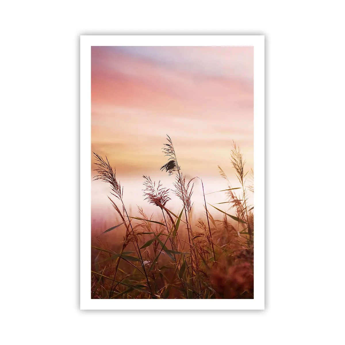arttor3-229083
