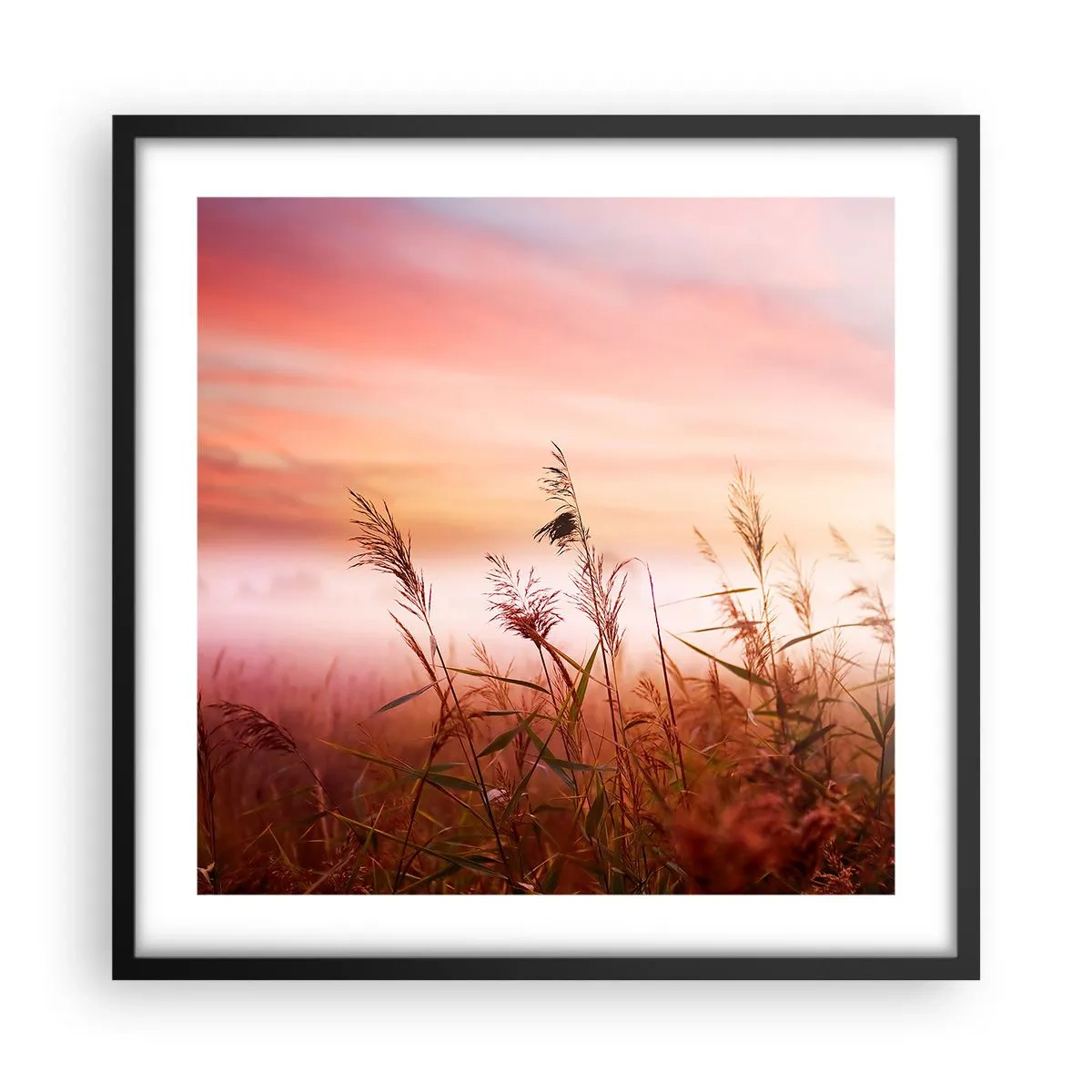 arttor3-229166