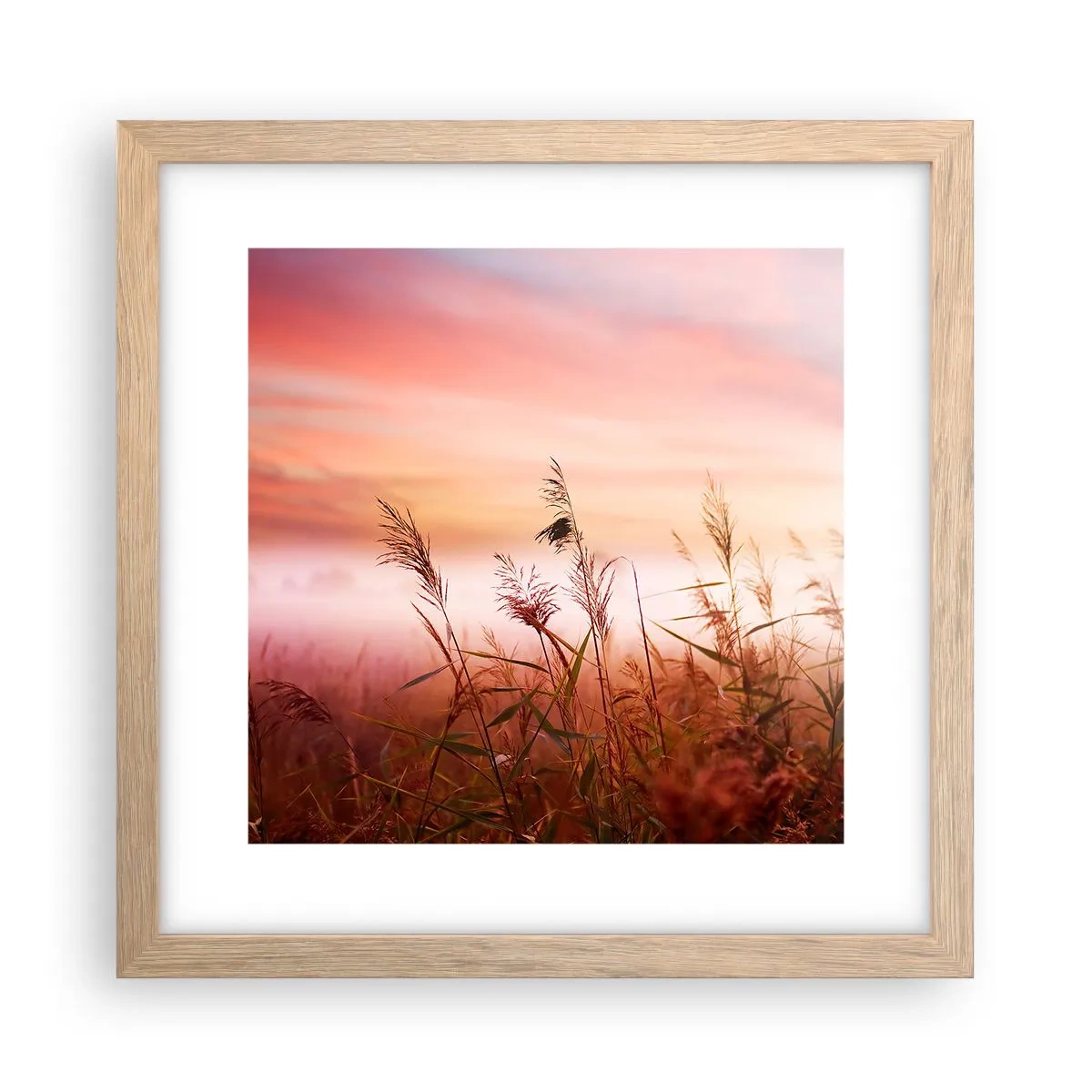 arttor3-229367