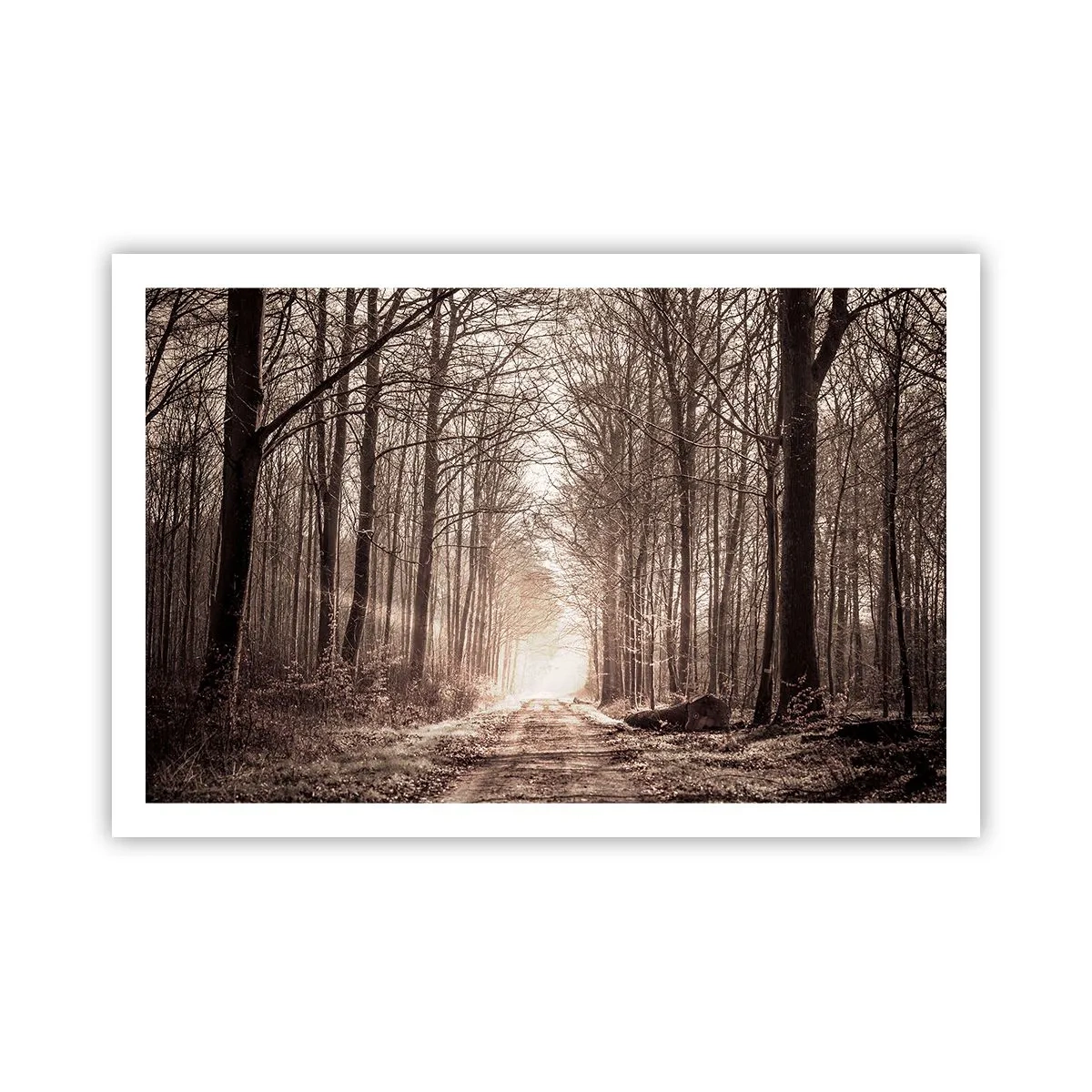 arttor3-246906