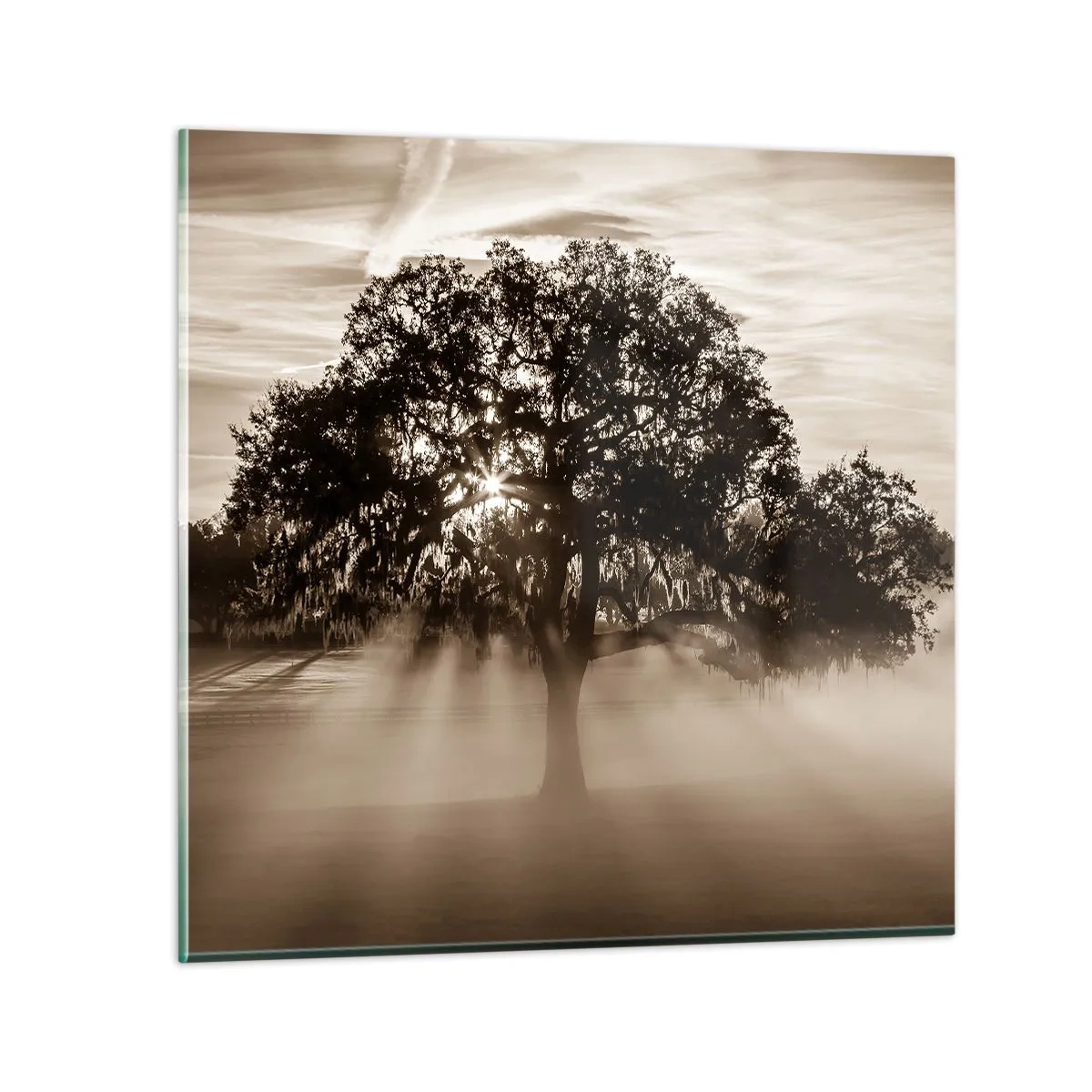 arttor3-249445