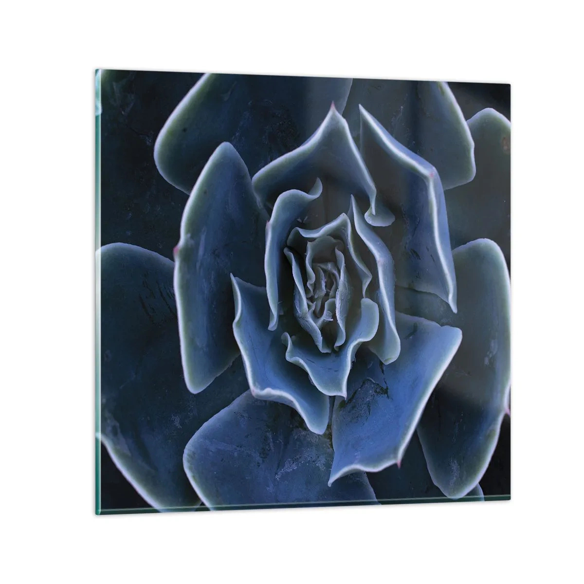 arttor3-278154