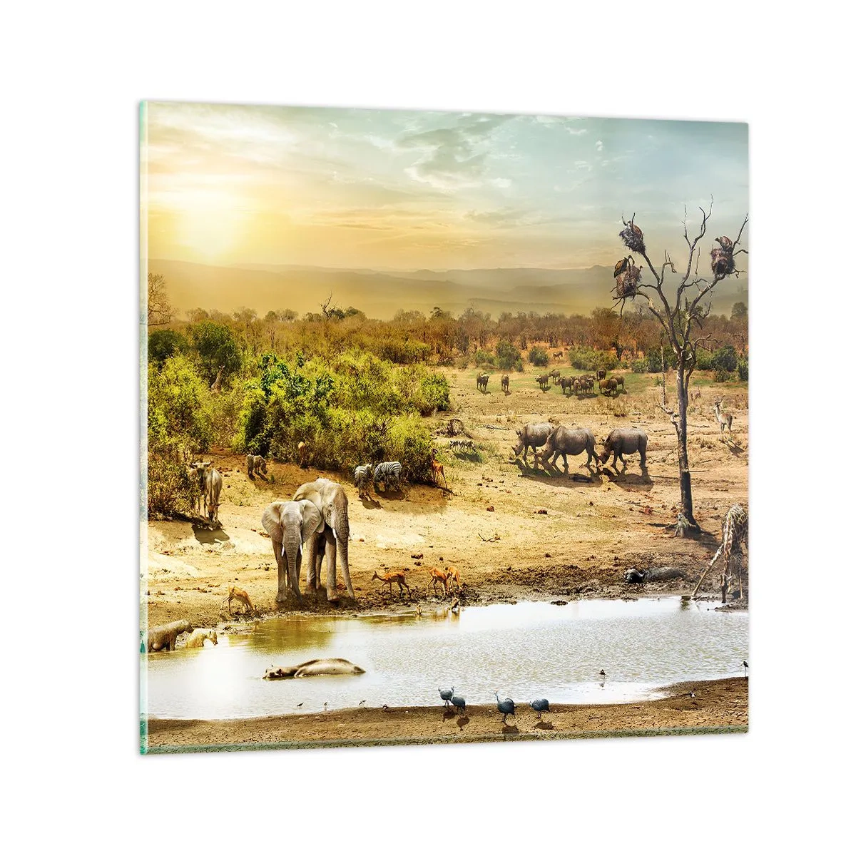 arttor3-320352