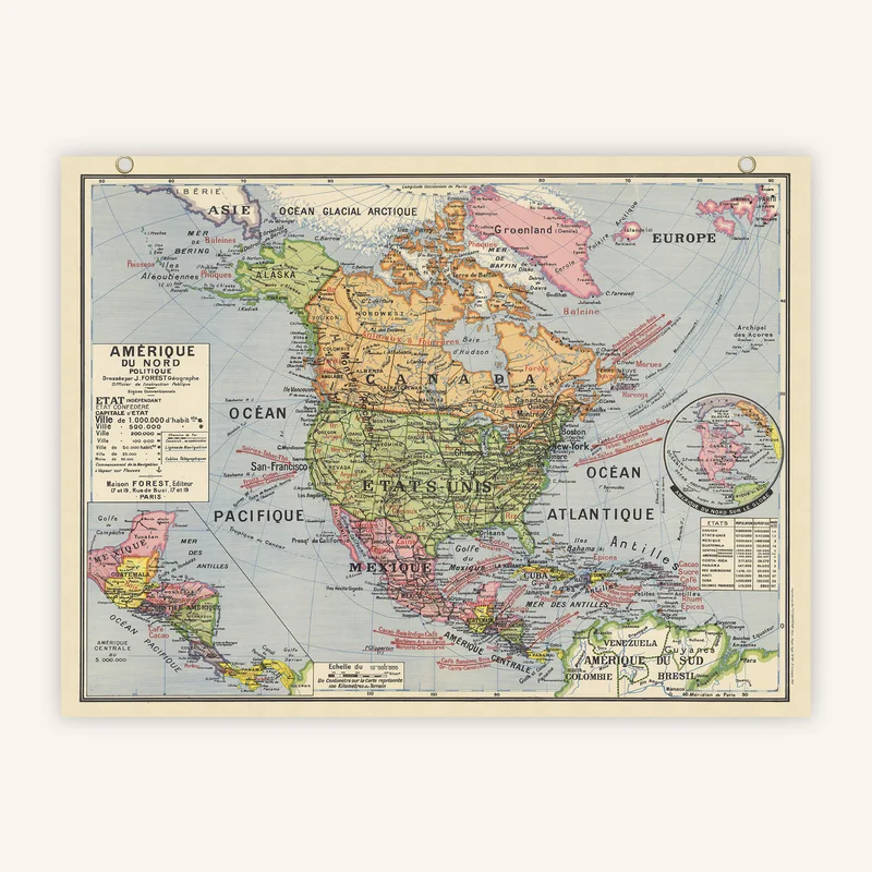 cartopolo1280699