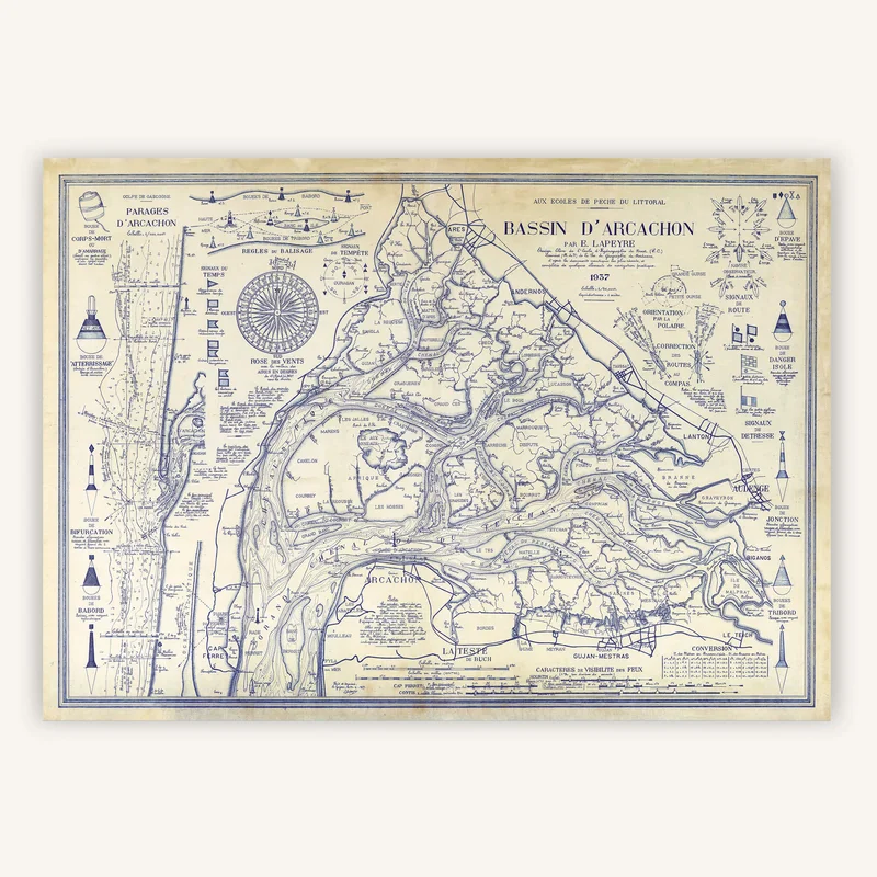 cartopolo1281202