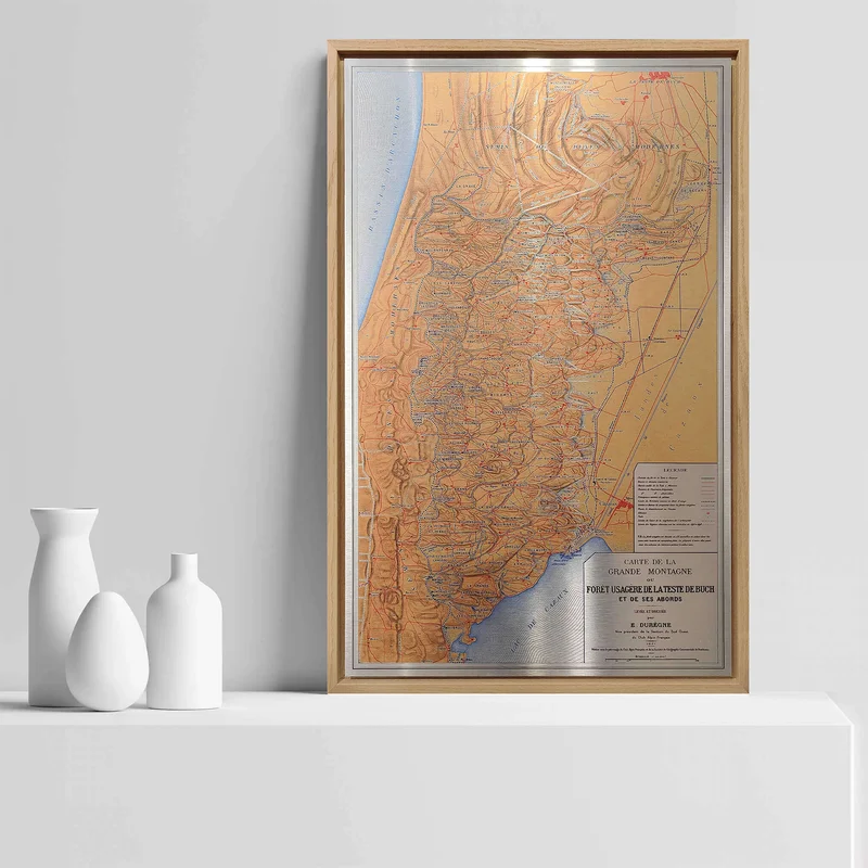 cartopolo1284411