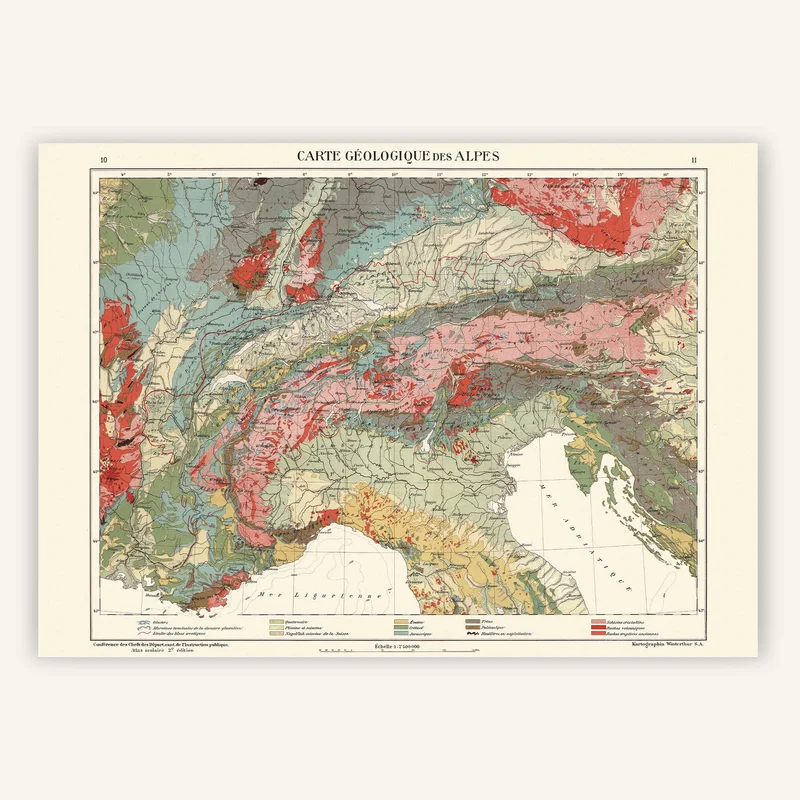 cartopolo1288453