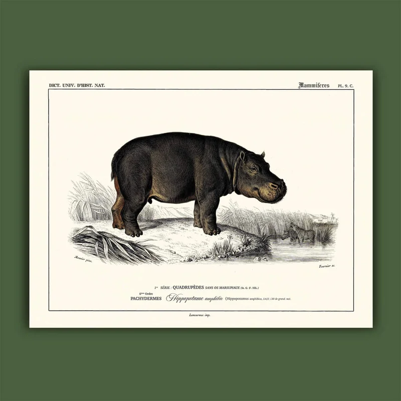 cartopolo1295054
