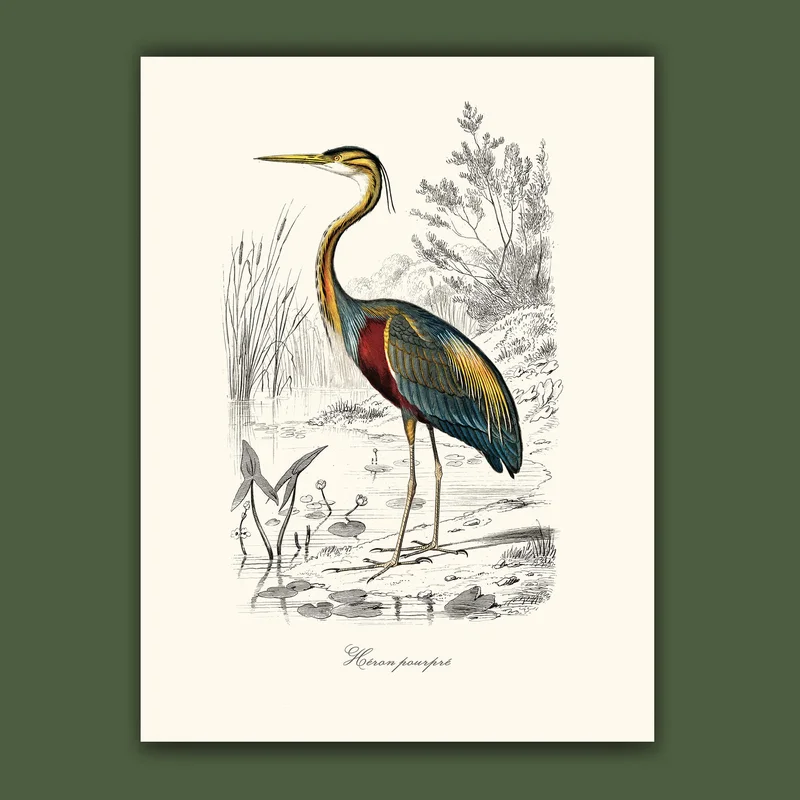 cartopolo1295357