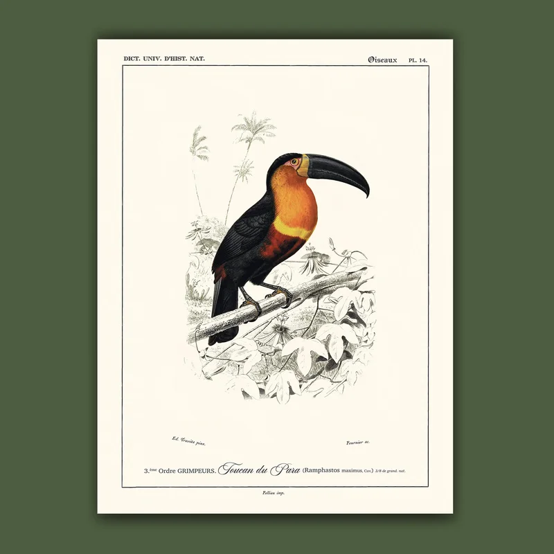 cartopolo1296790