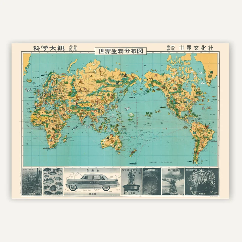 cartopolo1297014