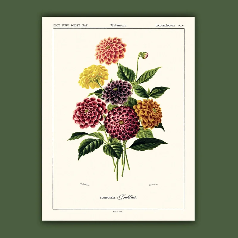 cartopolo1297930