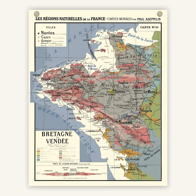 cartopolo1299674
