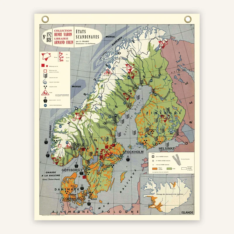 cartopolo1299710