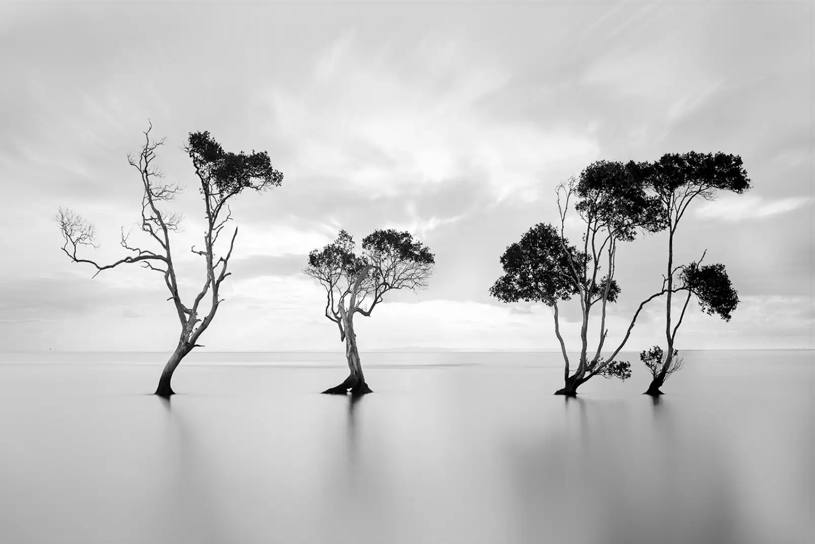 tableau-paysage-la-decrue