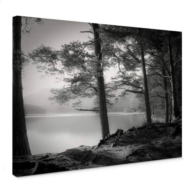 wall-art-1357691