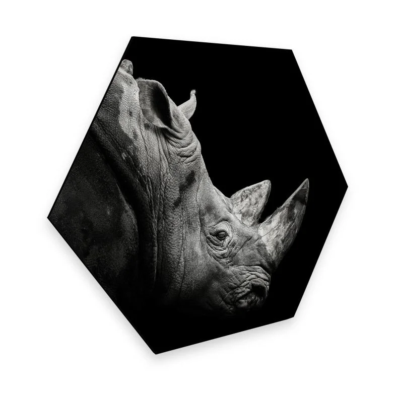 wall-art-1357924