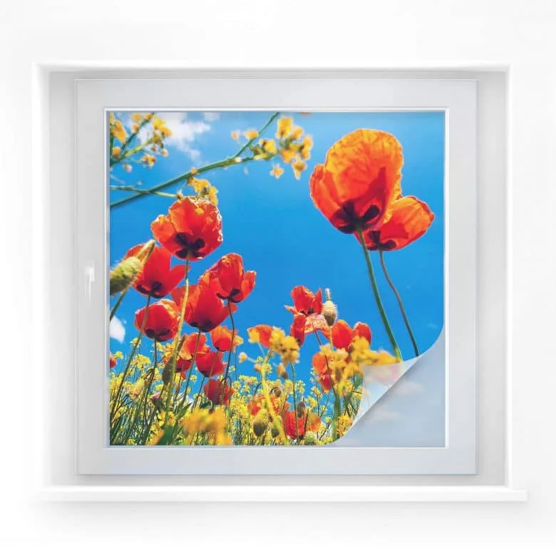 wall-art-1358459