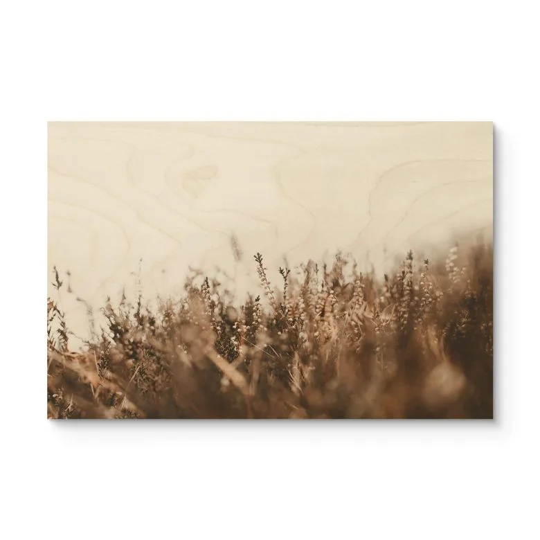 wall-art-1361954