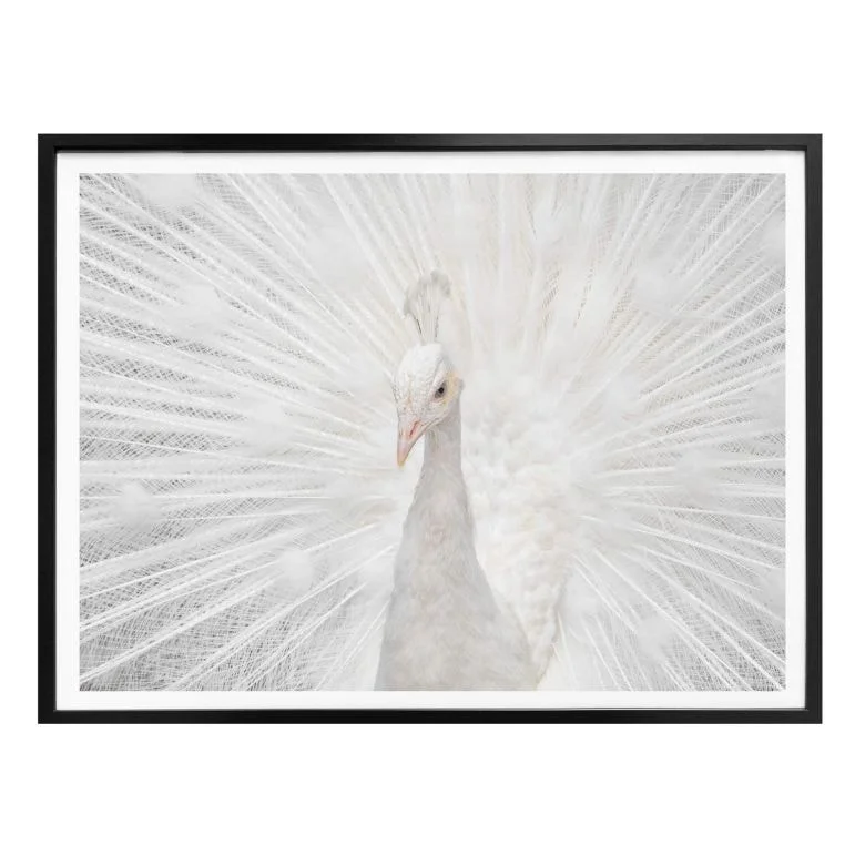 wall-art-1367667