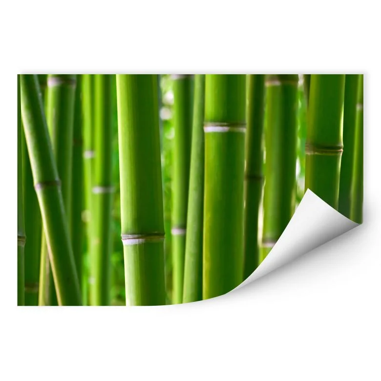 wall-art-1370961