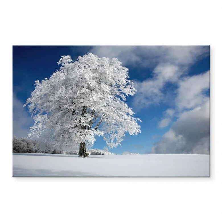wall-art-1371885
