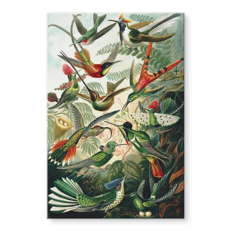 wall-art-1375255