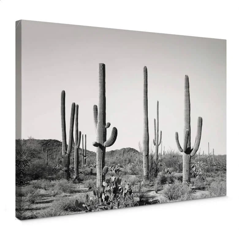 wall-art-1376536
