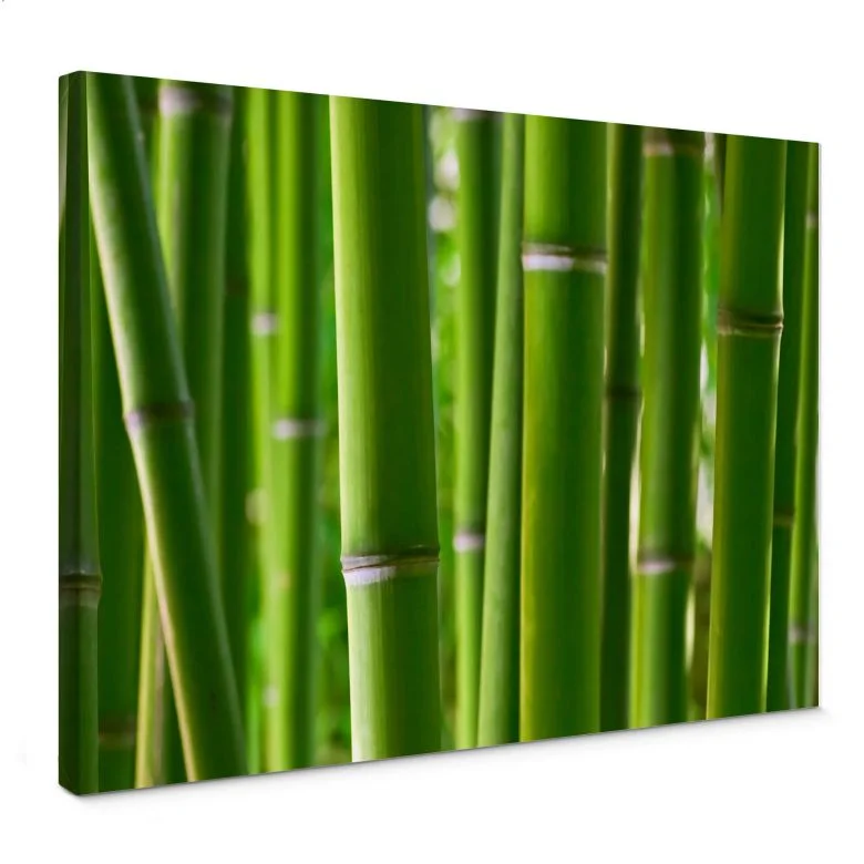 wall-art-1383044