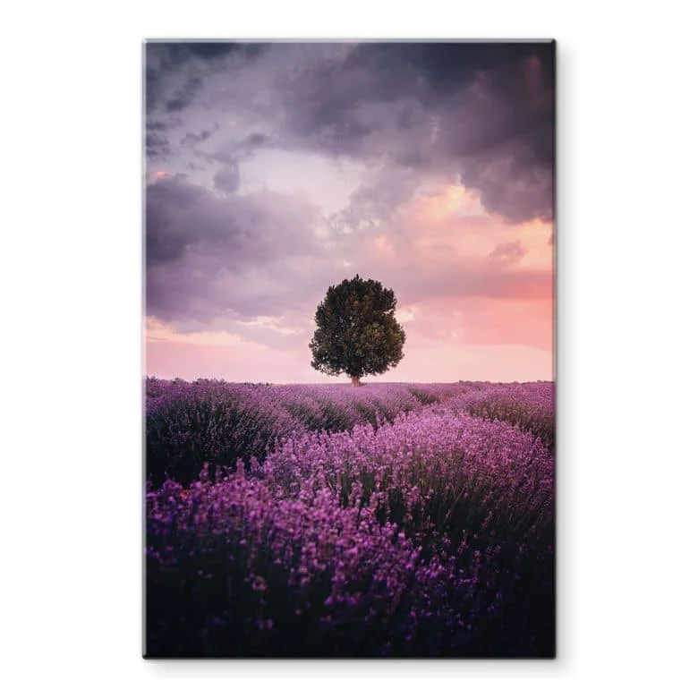 wall-art-1384756
