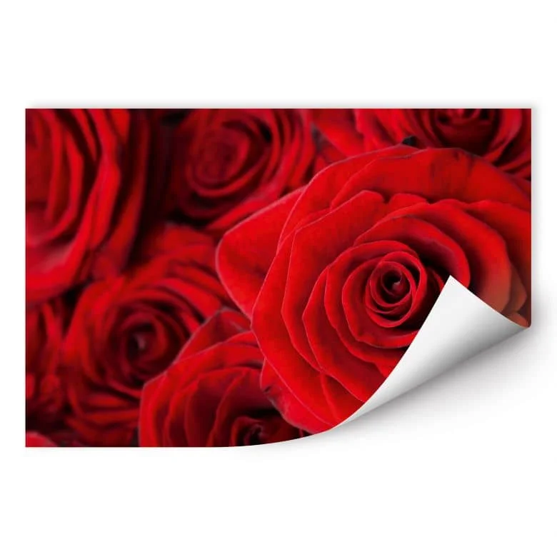 wall-art-1386220