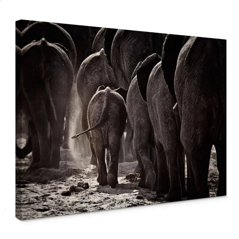 wall-art-1386288