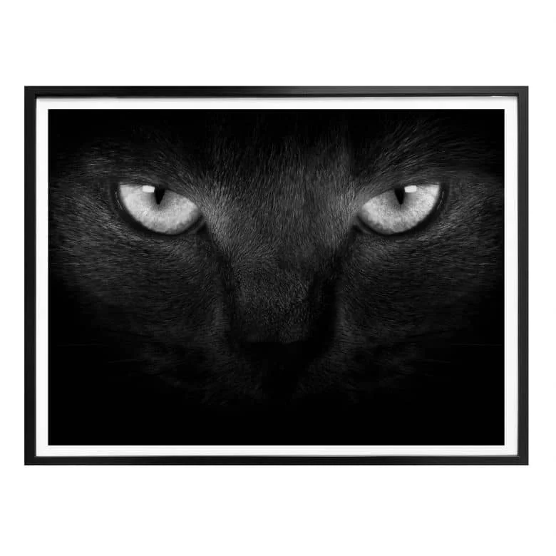wall-art-1388215