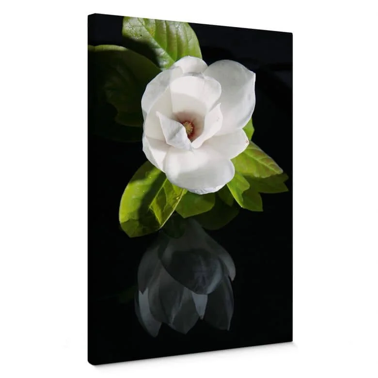 wall-art-1398775